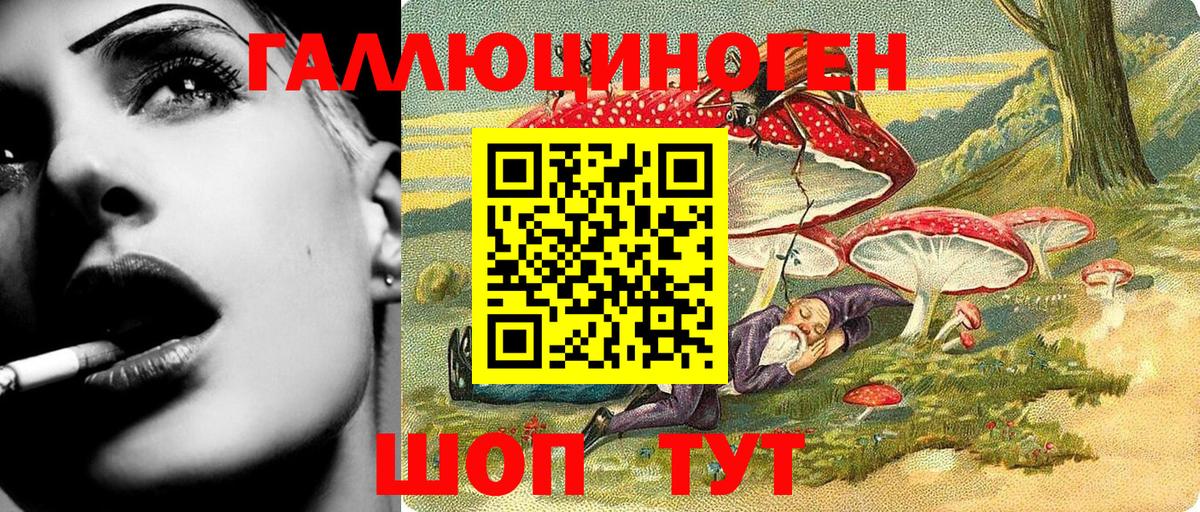 Псилоцибиновые грибы Psilocybe Усть-Илимск