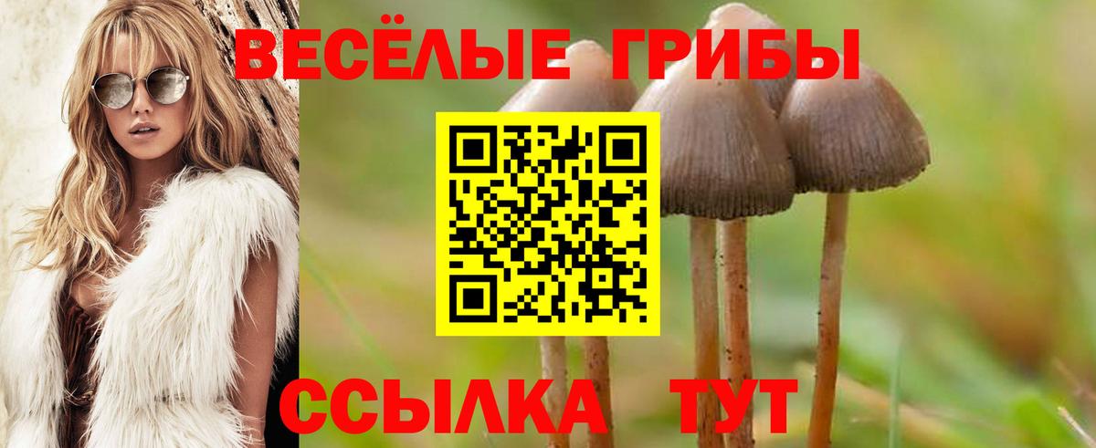 Псилоцибиновые грибы Psilocybe  Псилоцибиновые грибы MAGIC MUSHROOMS  Вход с VPN  Усть-Илимск 